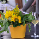 Mostfest13 049.jpg