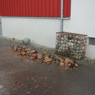 DSC01351.JPG