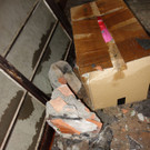 DSC01365.JPG