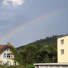 IMG_7654.JPG