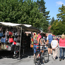 IMG_5742.JPG