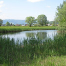 ZVFWBQB9-Weiher.jpg