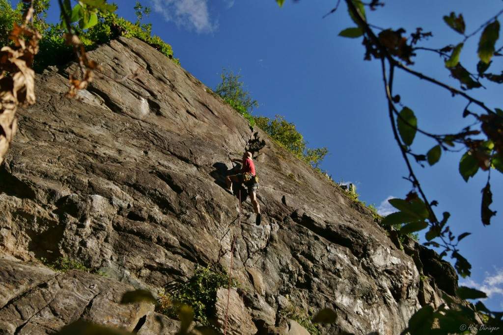 DSC07866 _Medium_.JPG