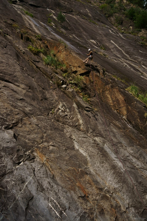 DSC07886 _Medium_.JPG