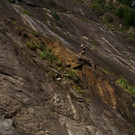 DSC07886 _Medium_.JPG
