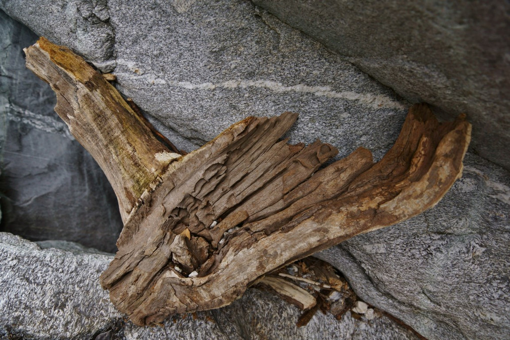 DSC07887 _Medium_.JPG