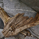 DSC07887 _Medium_.JPG