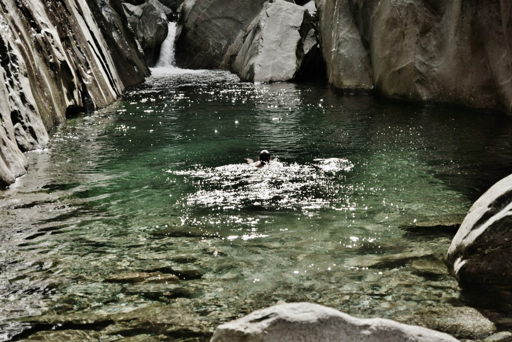 DSC07889 _Medium_.JPG