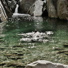 DSC07889 _Medium_.JPG