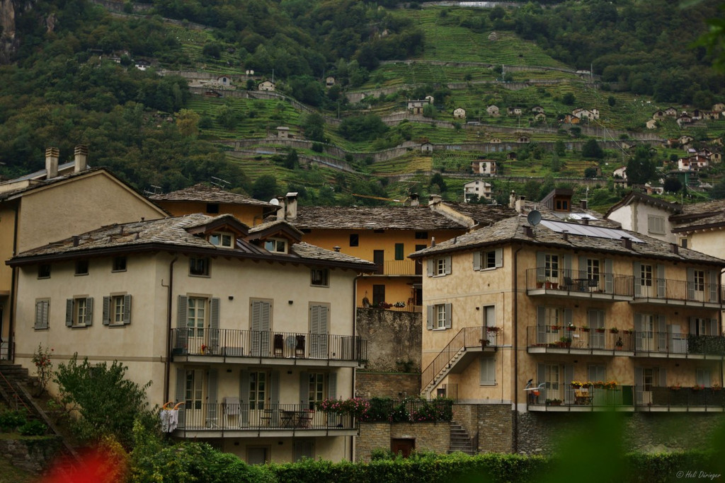 DSC07903 _Medium_.JPG