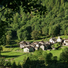DSC07905 _Medium_.JPG