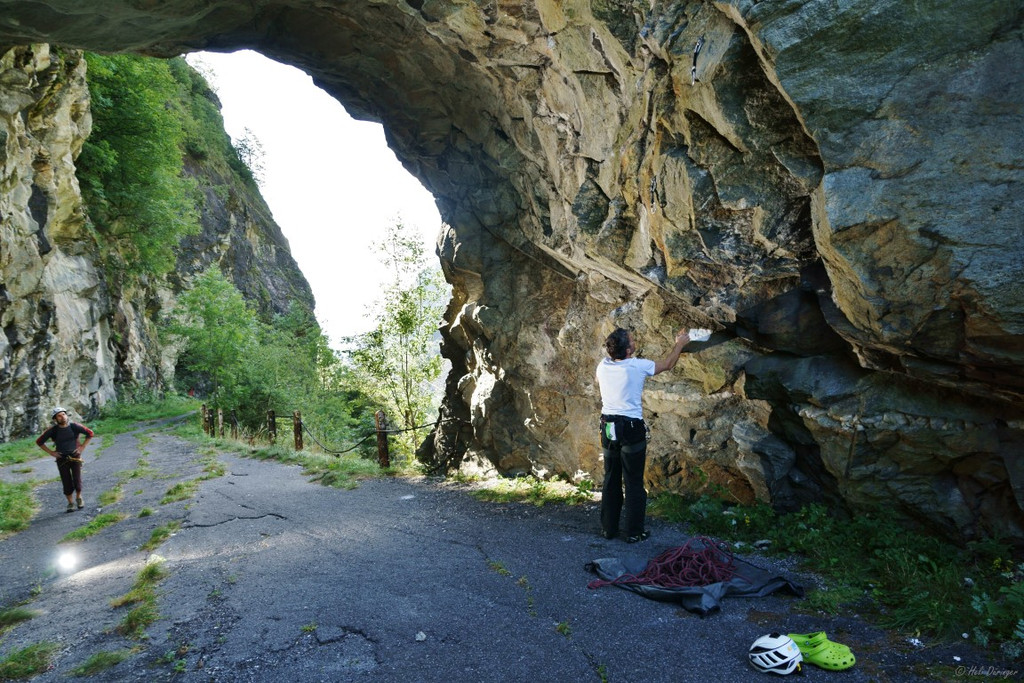 DSC07930 _Medium_.JPG