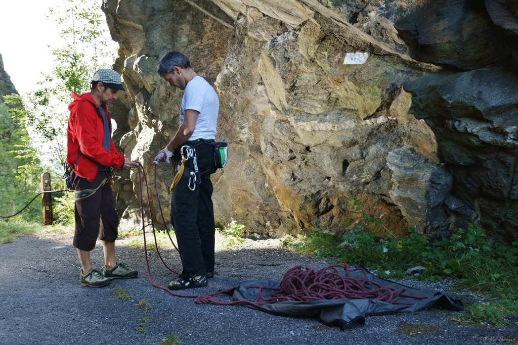 DSC07939 _Medium_.JPG