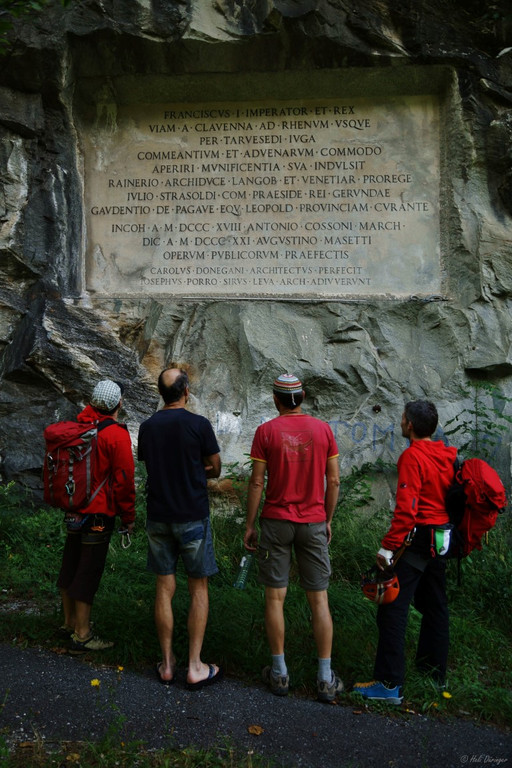 DSC07959 _Medium_.JPG