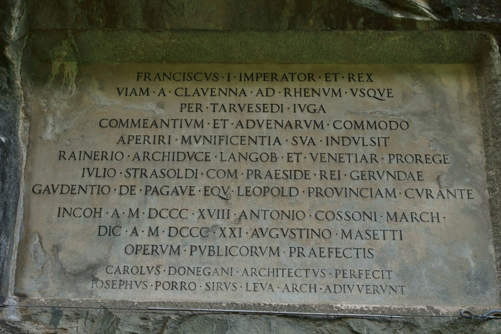 DSC07961 _Medium_.JPG