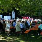 Reichenfeldfest 190 Jahre 2014 - _efferlwolfgang _ 41_.JPG