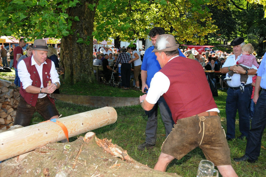 Reichenfeldfest 190 Jahre 2014 - _efferlwolfgang _294_.JPG
