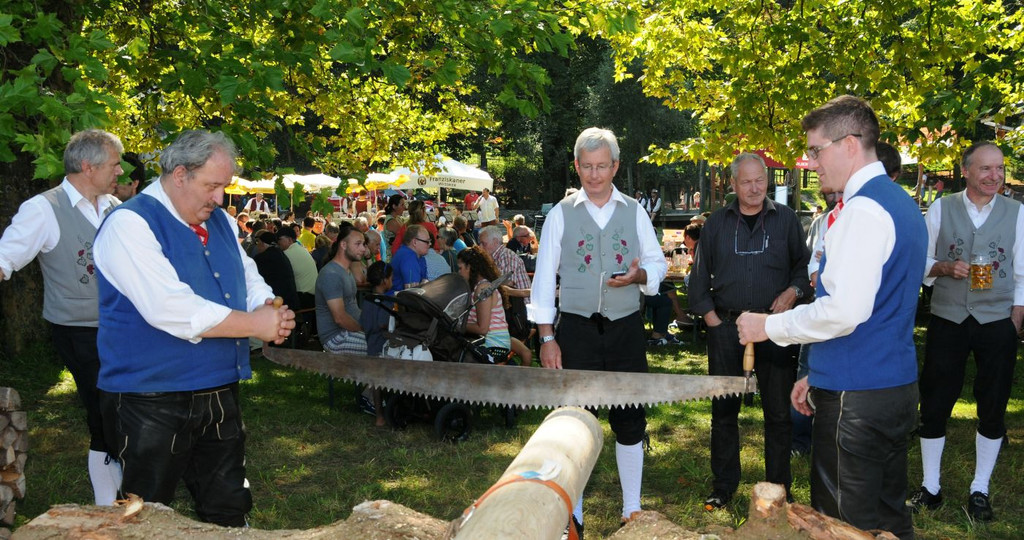 Reichenfeldfest 190 Jahre 2014 - _efferlwolfgang _372_.JPG