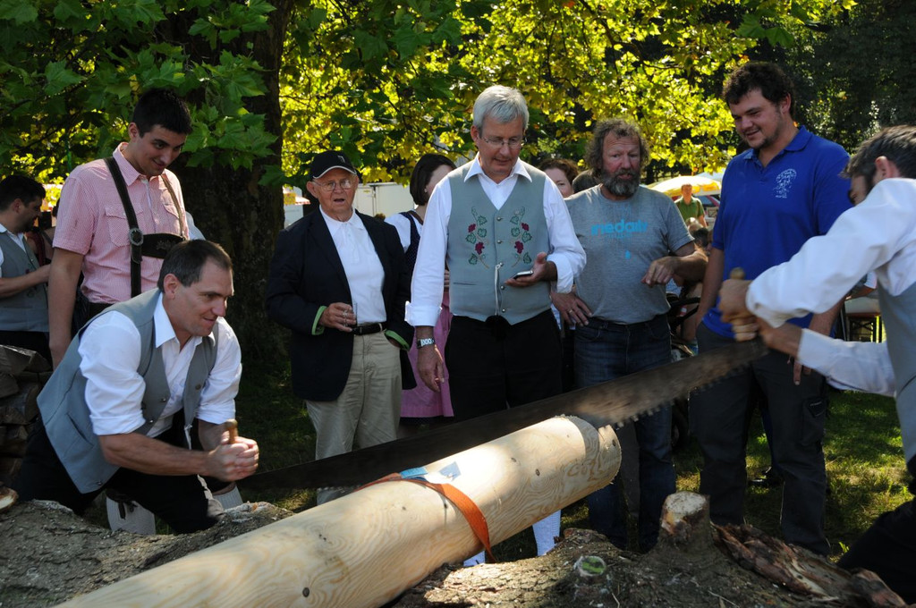 Reichenfeldfest 190 Jahre 2014 - _efferlwolfgang _385_.JPG