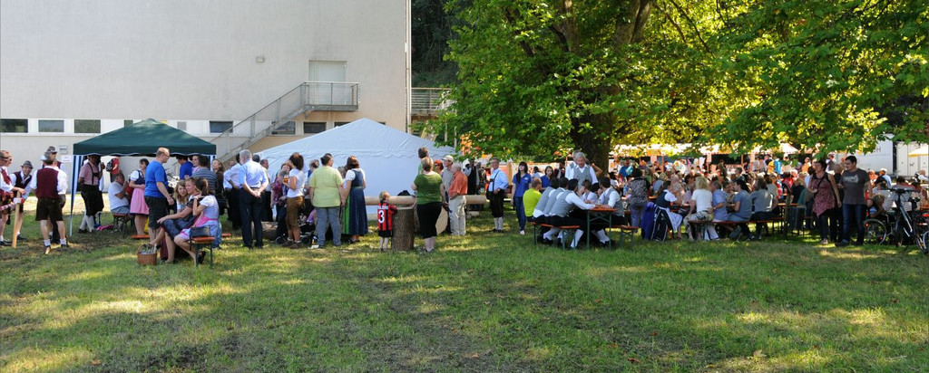 Reichenfeldfest 190 Jahre 2014 - _efferlwolfgang _398_.JPG