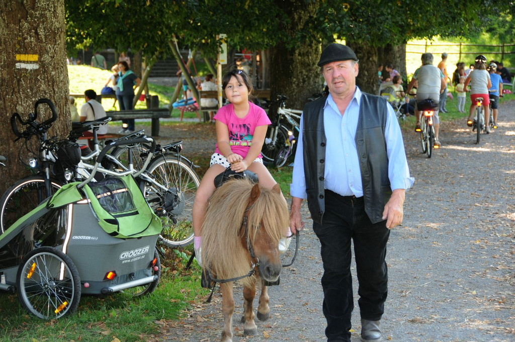 Reichenfeldfest 190 Jahre 2014 - _efferlwolfgang _399_.JPG
