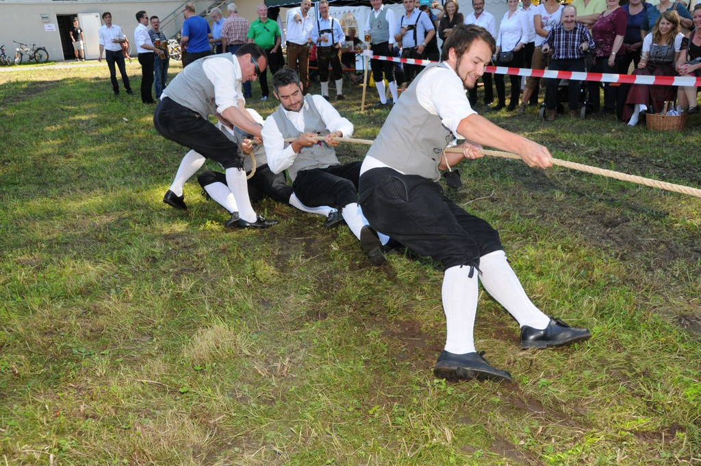 Reichenfeldfest 190 Jahre 2014 - _efferlwolfgang _432_.JPG
