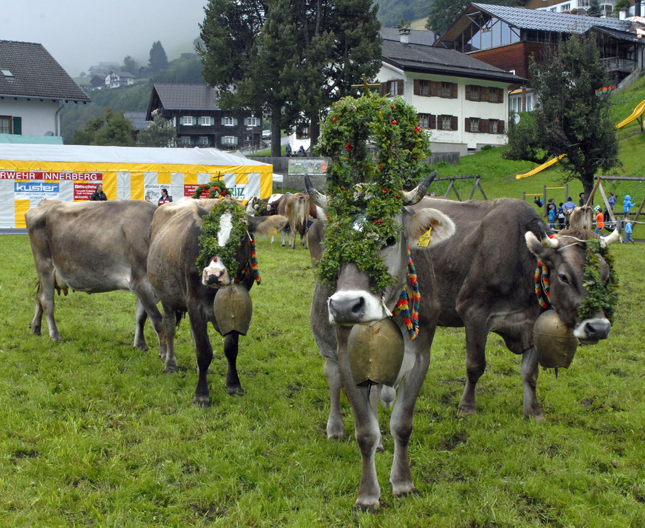 _c_ Gerhard Scopoli - Alpabtrieb Bartholom__berg - 171.jpg