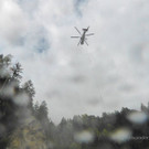 2014-09-10_Balbierbachbruecke_018.jpg