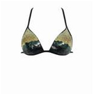 Calzedonia: Serie Marina Top € 39,50 Slip € 10,-