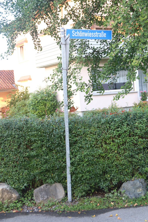 Sch__nwiesstra__e1.JPG