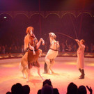 DSC_5956.jpg