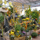 Farbenrausch bei Rosen Waibel Herbstausstellung