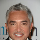 Hundeflüsterer Cesar Millan und die Hunde