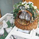 DSC06057.JPG