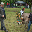 DSC_0477_JPG-1410608384.jpg