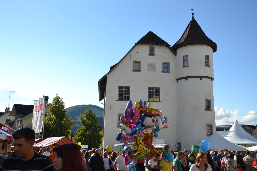 DSC_0223.JPG
