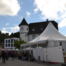 DSC_0172.JPG