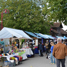 DSC_0170.JPG