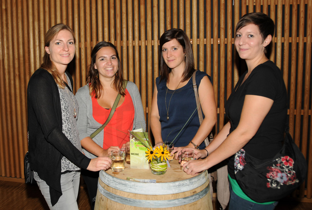 Musikfest Ho__chst 13-09-2014 580.jpg