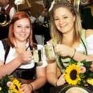 Musikfest Ho__chst 13-09-2014 365.jpg