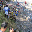 IMG_7936.jpg