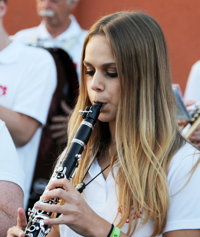 Musikfest Ho__chst 13-09-2014 527.jpg