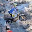 IMG_7932.jpg