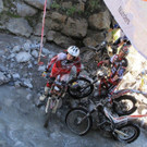 IMG_7939.jpg