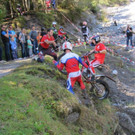 IMG_7962.jpg