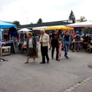 DSC08525.JPG