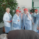 Lustenauer Seniorenring Club 50  bei efef