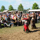 Mittelalter 14-09-2014 89.jpg