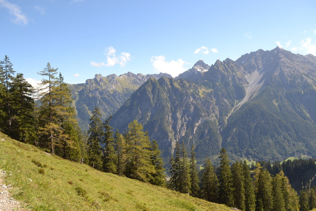 DSC_0558.JPG