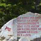 DSC_0559.JPG